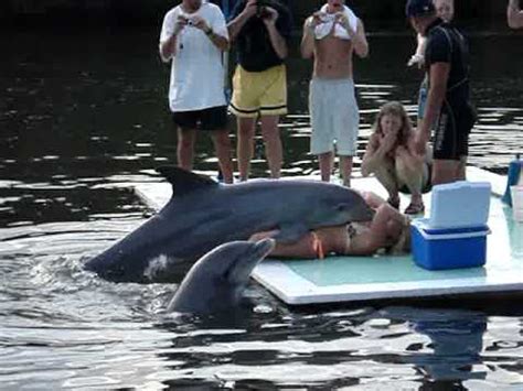 Hilarious Video of a Dolphin Humping a Female Tourist in Cuba。